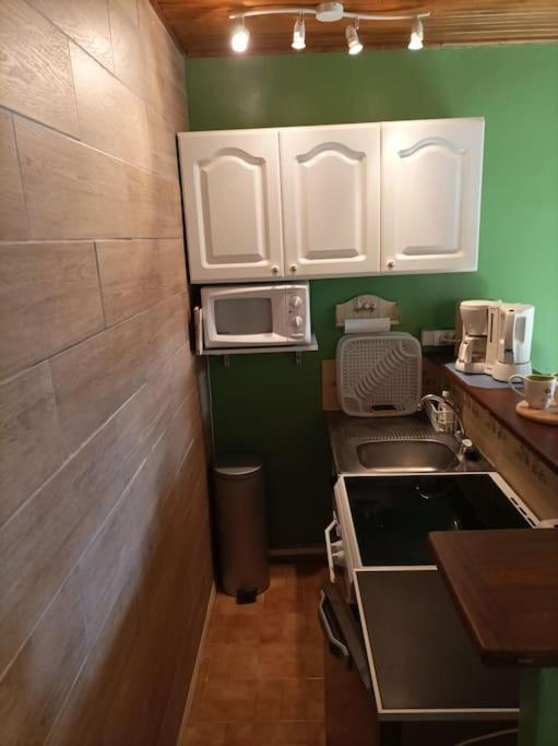 Apartament Lumineux 2 Pieces A St Martin Saint-Martin-Vésubie Zewnętrze zdjęcie