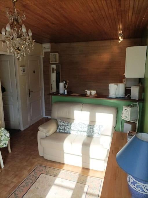 Apartament Lumineux 2 Pieces A St Martin Saint-Martin-Vésubie Zewnętrze zdjęcie