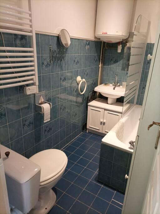 Apartament Lumineux 2 Pieces A St Martin Saint-Martin-Vésubie Zewnętrze zdjęcie